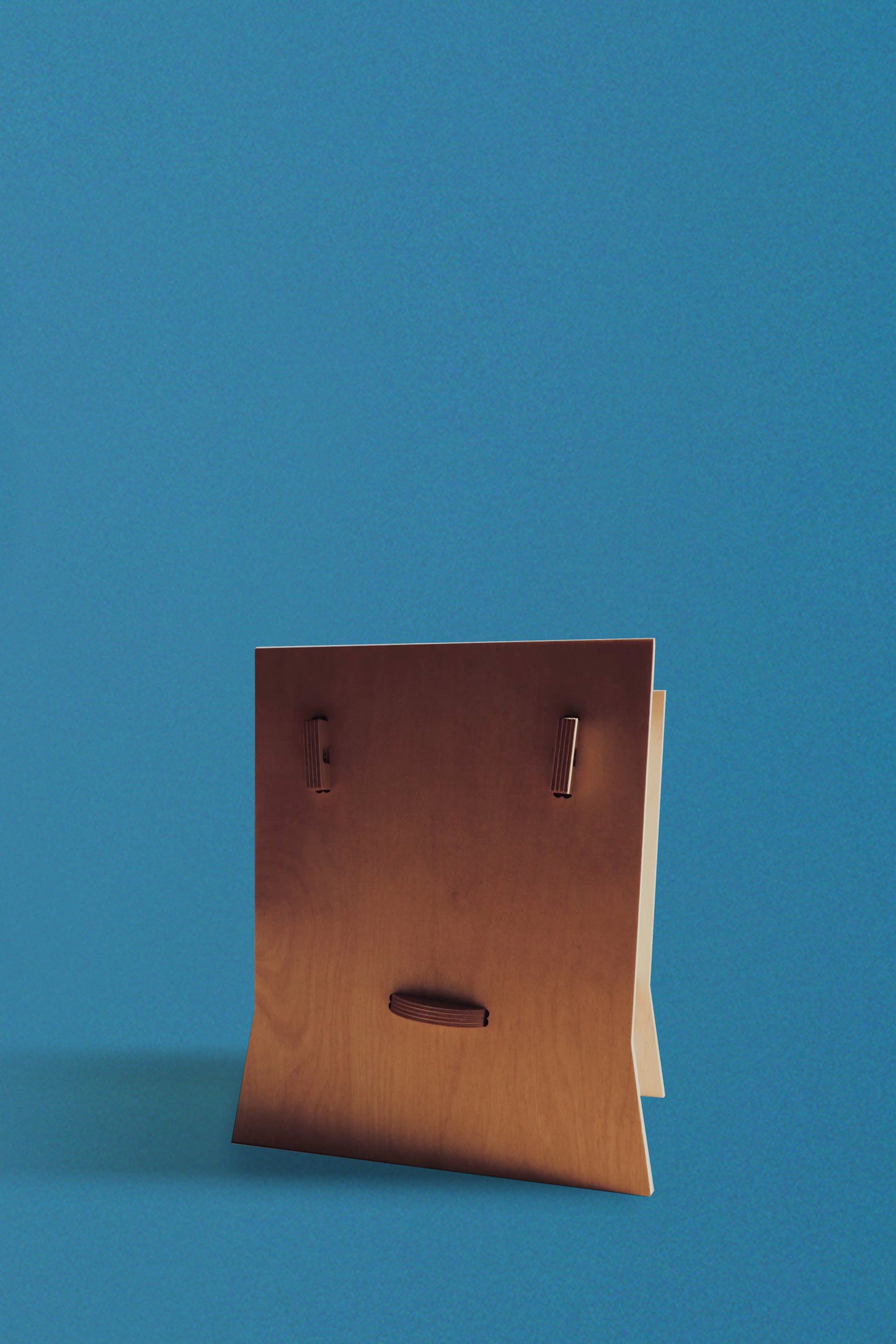 Bag Bin