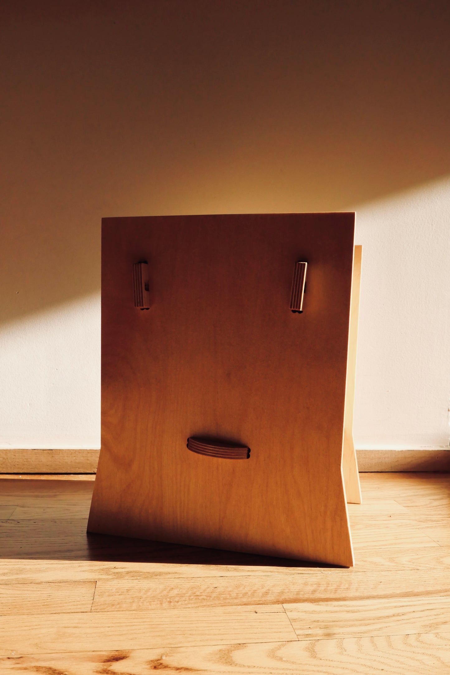 Bag Bin