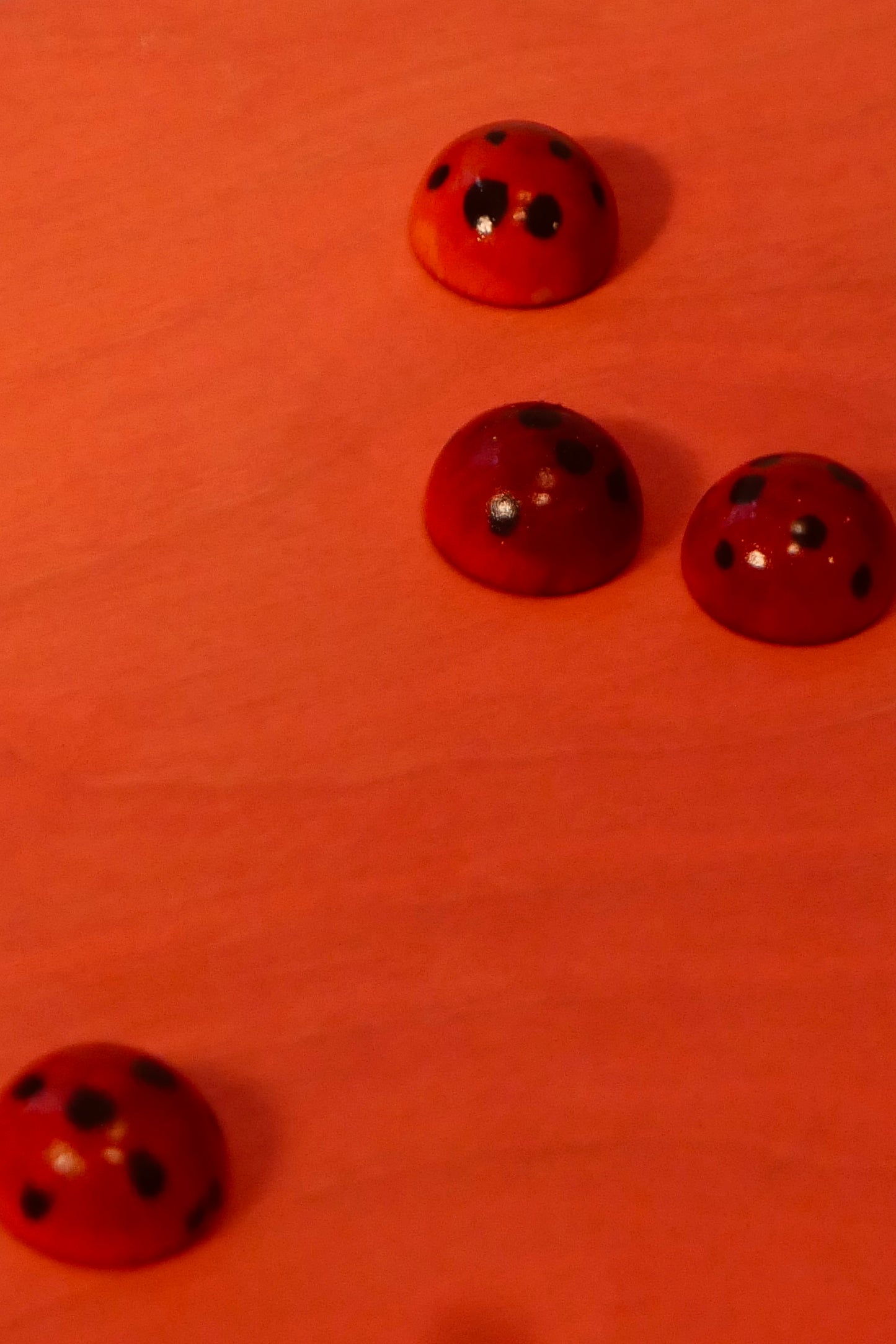 Ladybugs - Animal Tales