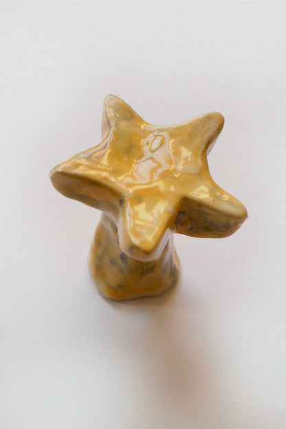 Ceramic knob, star